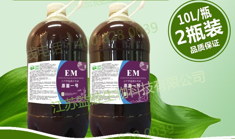 EM菌種研發(fā)公司介紹預防小龍蝦病害的方法